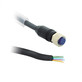 Power M12 cable (12-pin straight) (8000-1040-020) Image