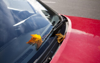 Windshield Manufacturing